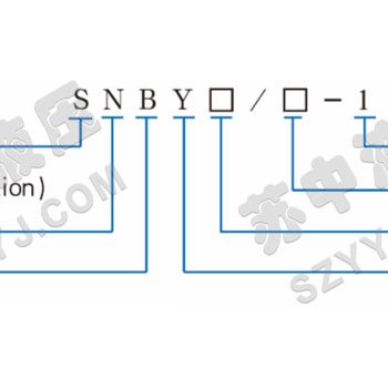 SNBY — двунаправленный насос смазки: Обозначение модели